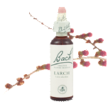 Larch (20ml) - Lack of confidence